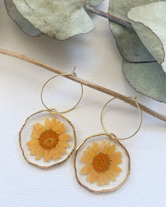 Pressed Orange Daisy Earrings