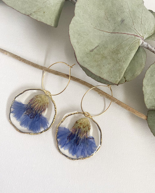 Pressed Blue Corn Flower Earrings