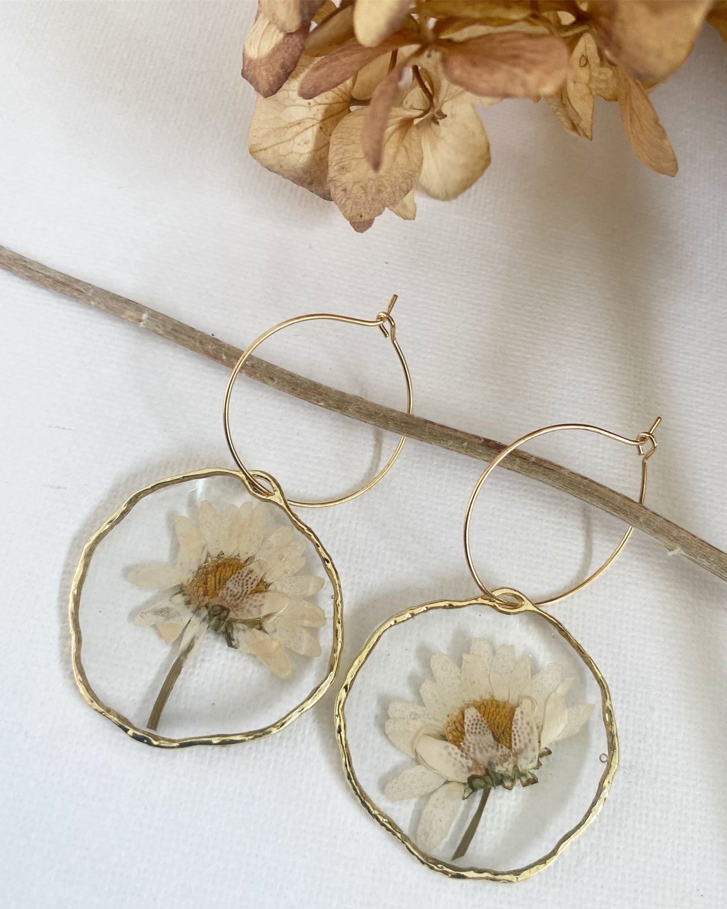 Pressed White Daisy Earrings